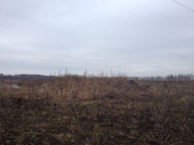 Купить торф Андреевка